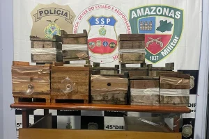 Ladrões Furtam Caixas De Colmeia De Abelhas Em Urucará  Polícia Civil Apura Crime