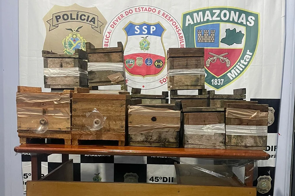 Ladrões Furtam Caixas De Colmeia De Abelhas Em Urucará  Polícia Civil Apura Crime