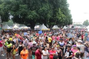 Nas ruas ou na avenida, confira opções para curtir a folia