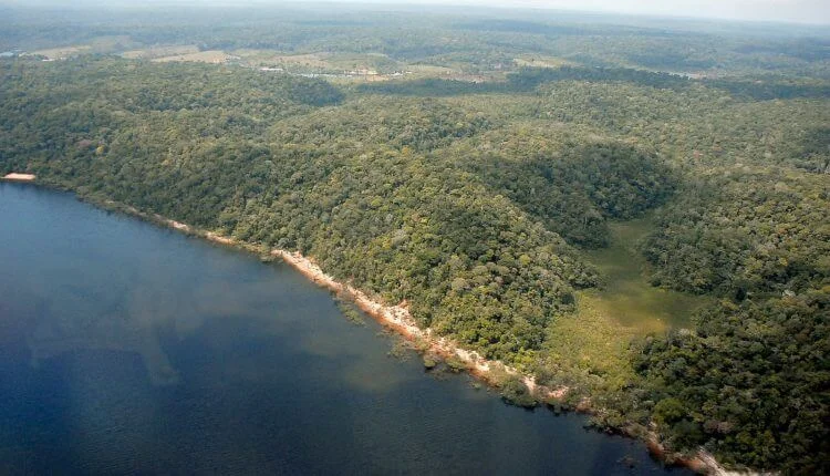 No primeiro semestre de 2023, desmatamento no Amazonas tem queda de 55% 18 No primeiro semestre de 2023, desmatamento no Amazonas tem queda de 55%