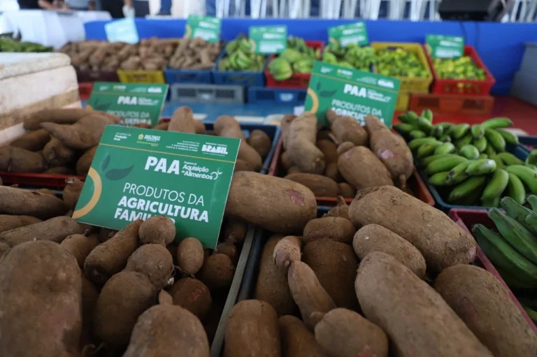 Paa Amazonas  Produtores Rurais E Entidades Podem Se Inscrever Até O Dia 10 De Fevereiro