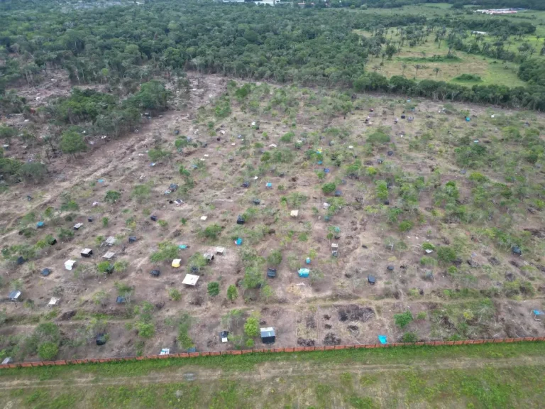 Audiência Pública Vai Discutir Ocupações Irregulares E Danos Ambientais Em Parintins