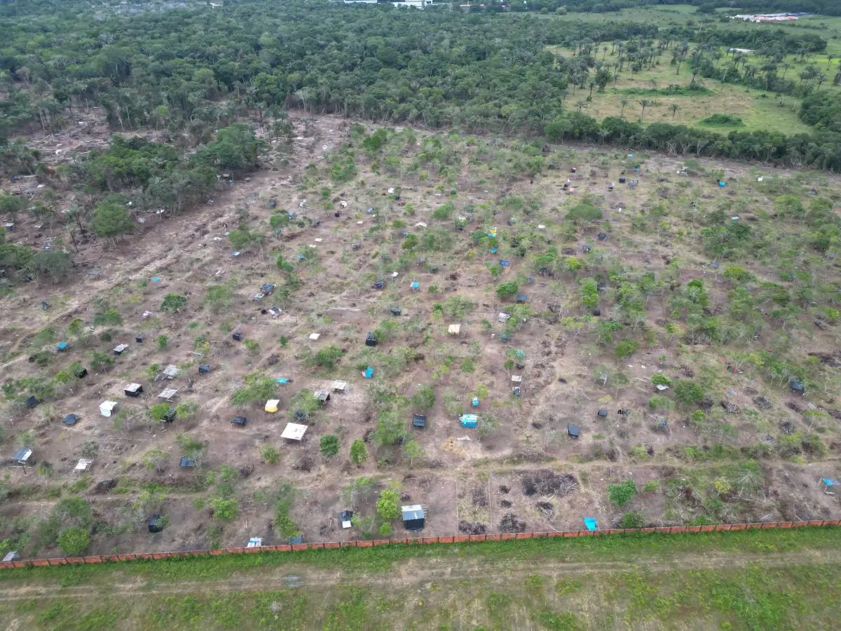Audiência Pública Vai Discutir Ocupações Irregulares E Danos Ambientais Em Parintins