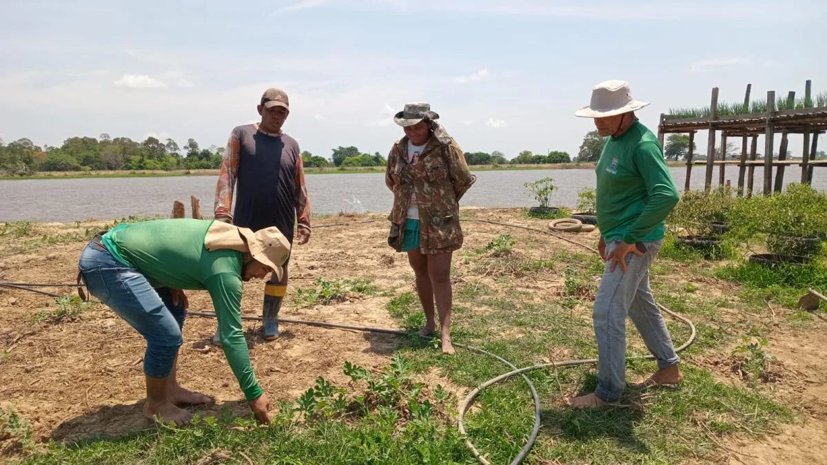 Em Visita Técnica No Limão De Baixo, Secretaria De Produção Realiza Orientações Aos Agricultores E Criadores De Gado