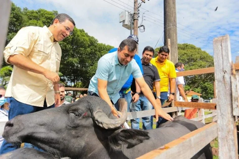 Parque De Exposição De Parintins Terá Ampla Revitalização Para Feira De Bubalinos, 36ª Expopin E Melhoramento Genético