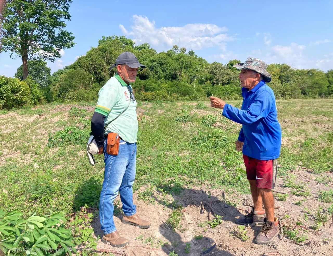 Pecuária e agricultura: Prefeitura de Parintins intensifica trabalho com produtor no Parananema
