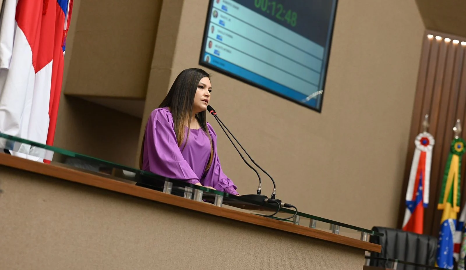 Deputada Estadual Joana Darc (ub)