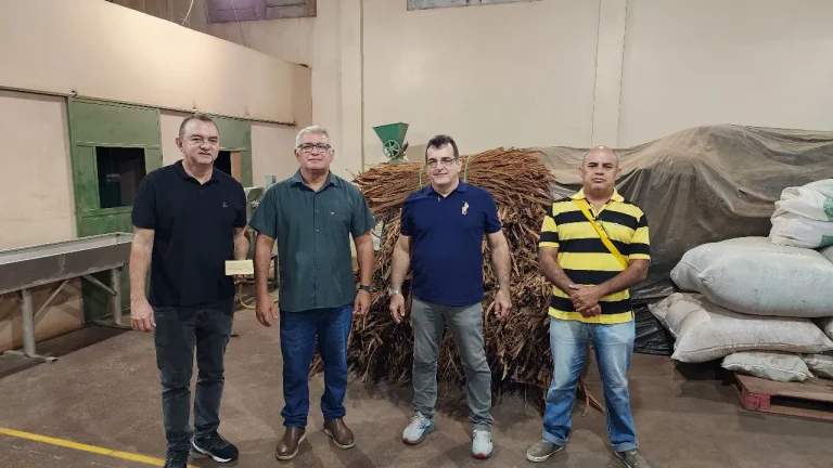 Prefeitura de Parintins apoia universidades do Pará e Amazonas para implantação de projeto de extrativismo vegetal sustentável