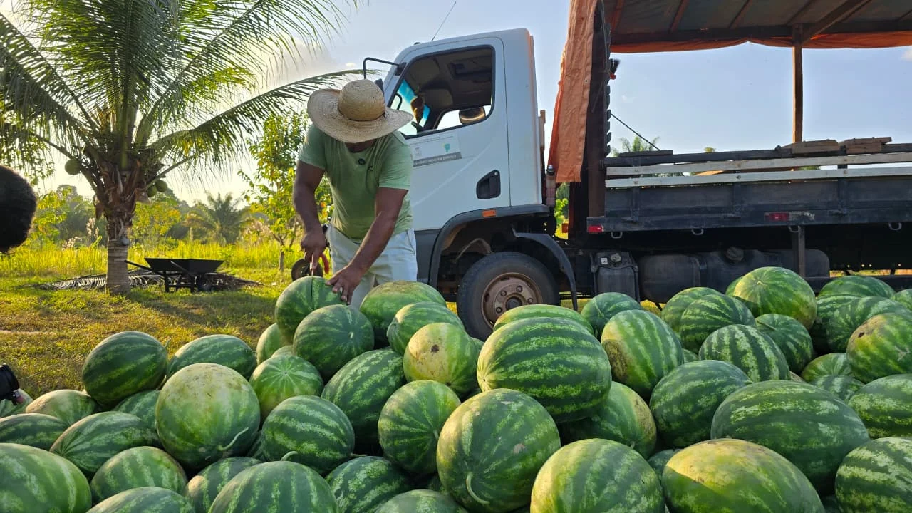 Prefeitura de Parintins movimenta R$ 2,3 milhões em produtos agrícolas para feiras e mercados 19 Prefeitura de Parintins movimenta R$ 2,3 milhões em produtos agrícolas para feiras e mercados