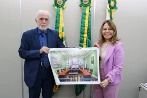 Josetito Lindoso E A Presidente Do Tce Pi Lilian Martins