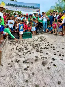 Projeto Pé-de-pincha