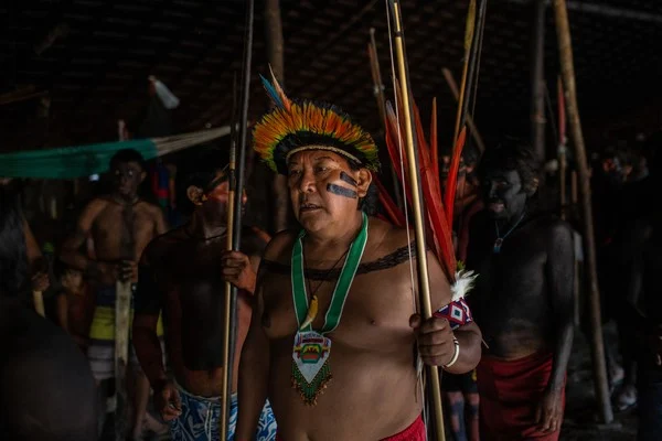 Salgueiro Anuncia Enredo Yanomami Para O Carnaval Do Rio 2024
