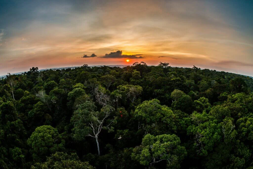 Sema prorroga envio de propostas de projetos de REDD+ para Unidades de Conservação 7 Sema prorroga envio de propostas de projetos de REDD+ para Unidades de Conservação