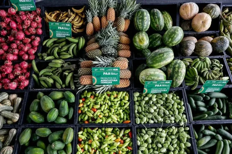 Sepror Divulga Resultado De Editais Do Paa Para Aquisição De Gêneros Alimentícios E De Entidades Contempladas