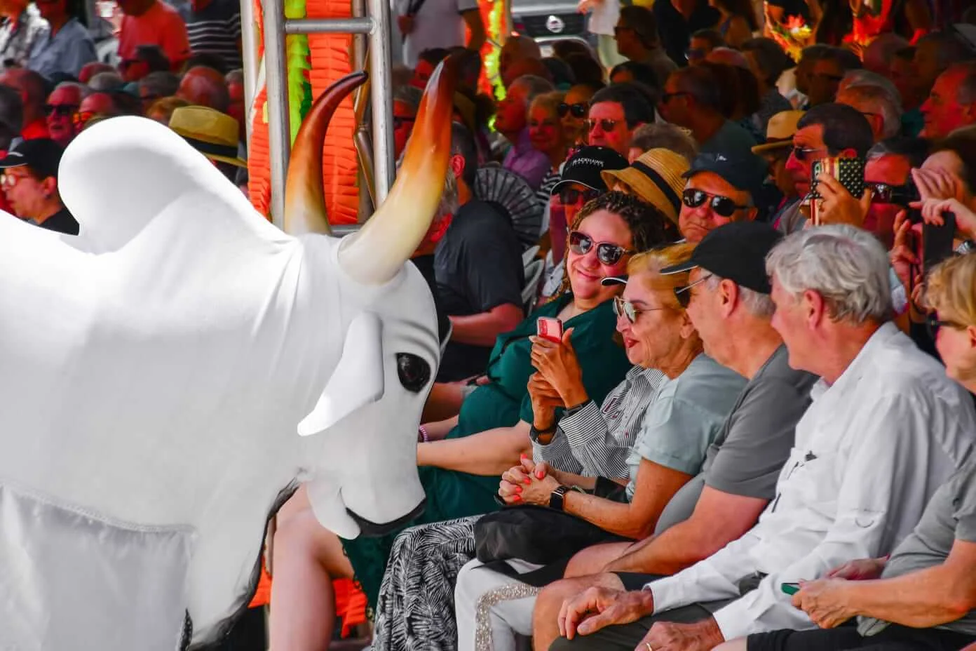 Turistas se encantam com show do Boi Bumbá Garantido 8 Turistas se encantam com show do Boi Bumbá Garantido