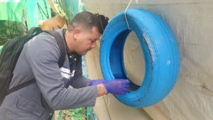 Vigilância: Parintins recebe vistorias em combate ao mosquito Aedes Aegypti